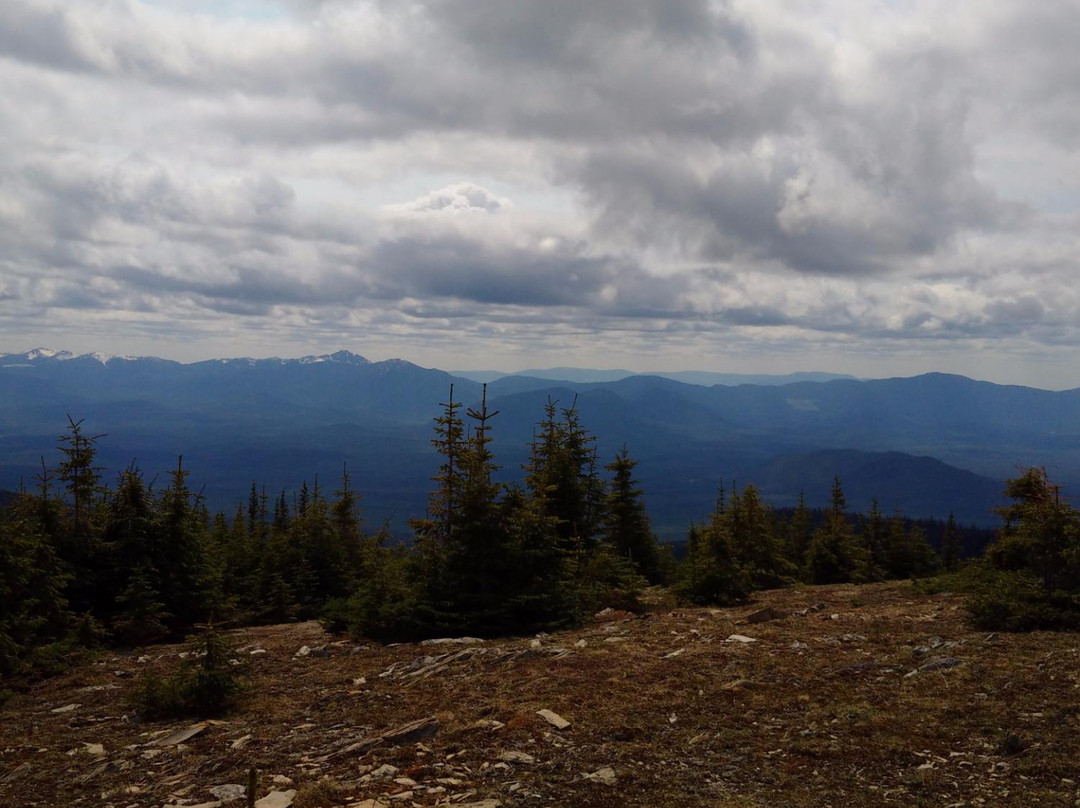 Sugarbowl-Grizzly Den Provincial Park and Protected Area景点图片