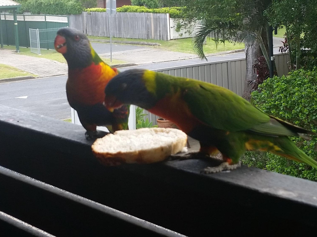 Northern Beaches Motor Inn主图