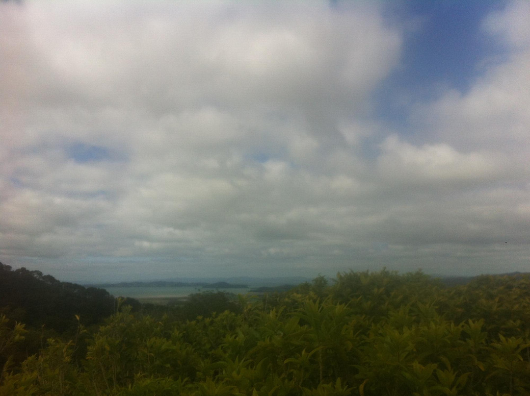 Clevedon Scenic Reserve景点图片
