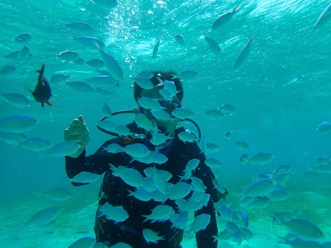 S2CLUB SAIPAN - Day Tours-塞班岛必去景点