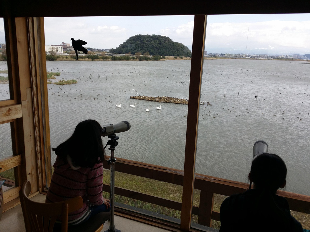 Yonago Waterbird Sanctuary-米子市必去景点