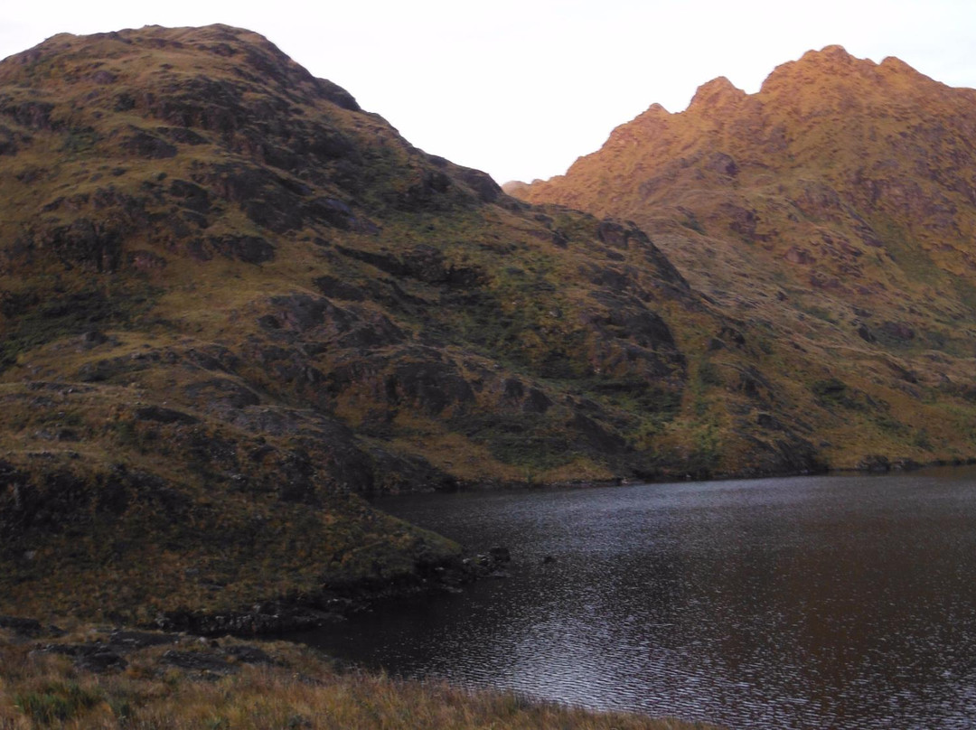 Podocarpus National Park