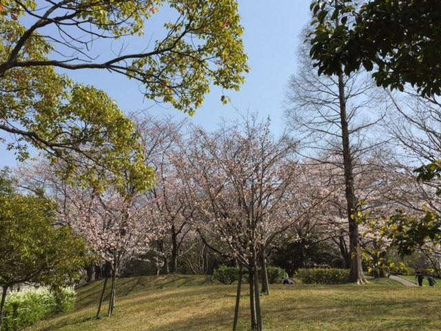 Hirachi Park景点图片