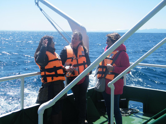 Pionero del Lago-巴拉斯港必去景点