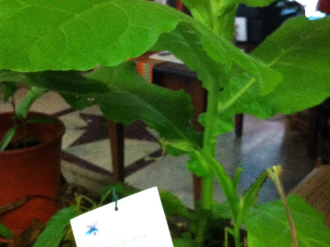 Chocolate Museum-Vicoforte必去景点