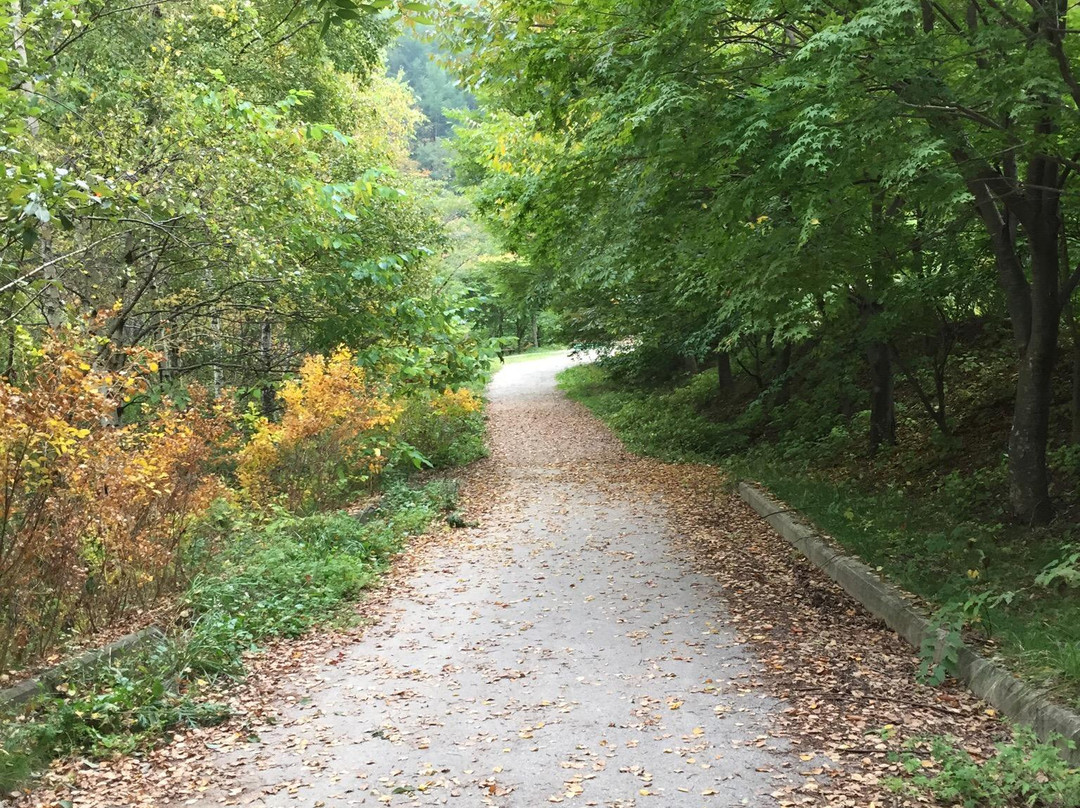 Geomnyongso Pond-太白市必去景点