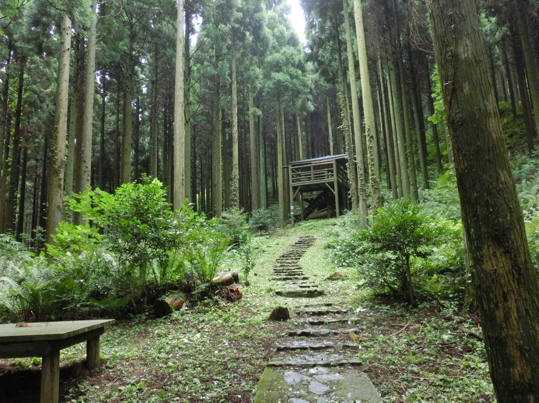 Lizard Rock-隐岐之岛町必去景点