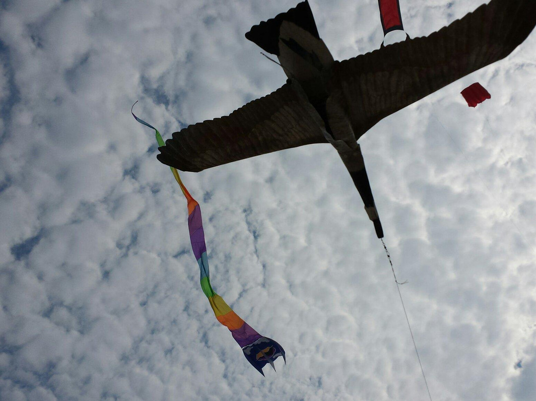 Neshotah Park-Two Rivers必去景点