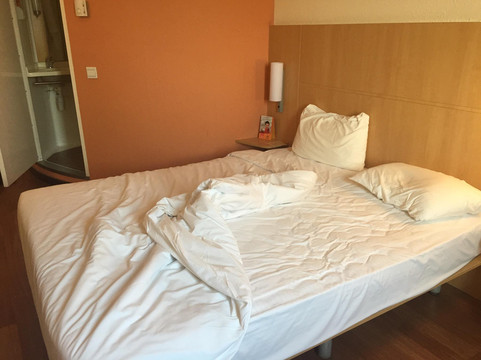 宜必思上海世博东明路地铁站酒店主图