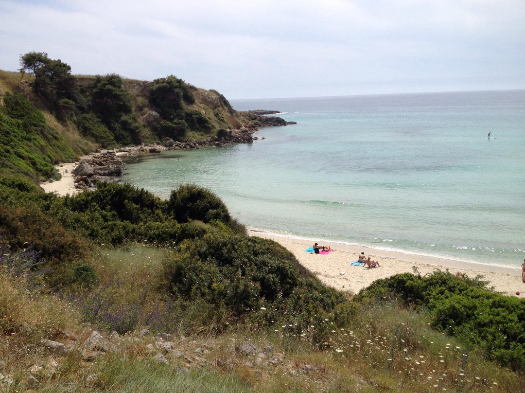 Spiaggia di Lido Silvana景点图片