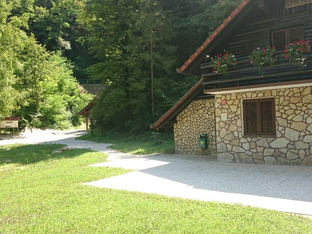 Kostanjevica Cave景点图片