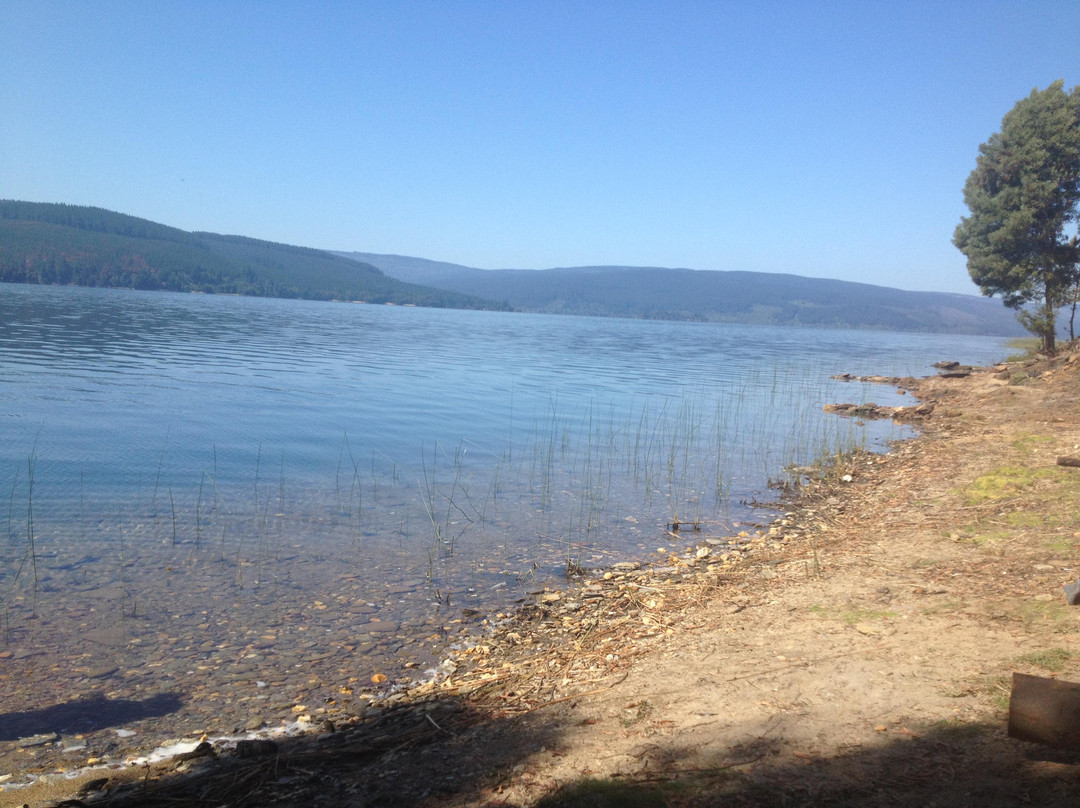 Lleulleu Lake-Contulmo必去景点