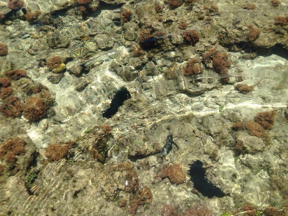 Gab Gab Beach-Santa Rita必去景点