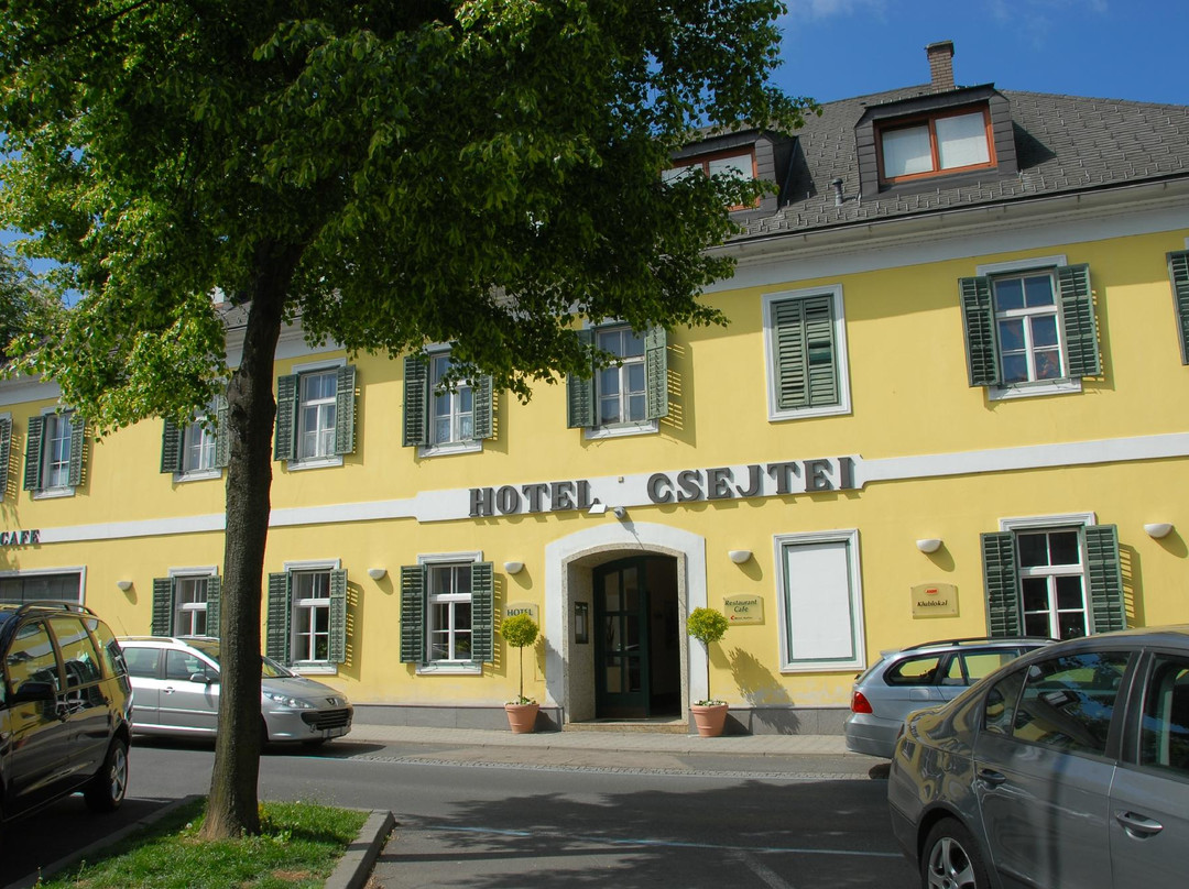 Hotel Csejtei主图