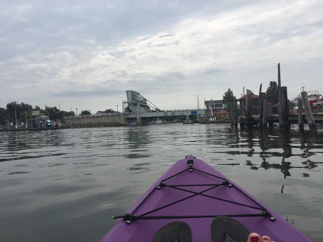 Tilghman Island Marina景点图片