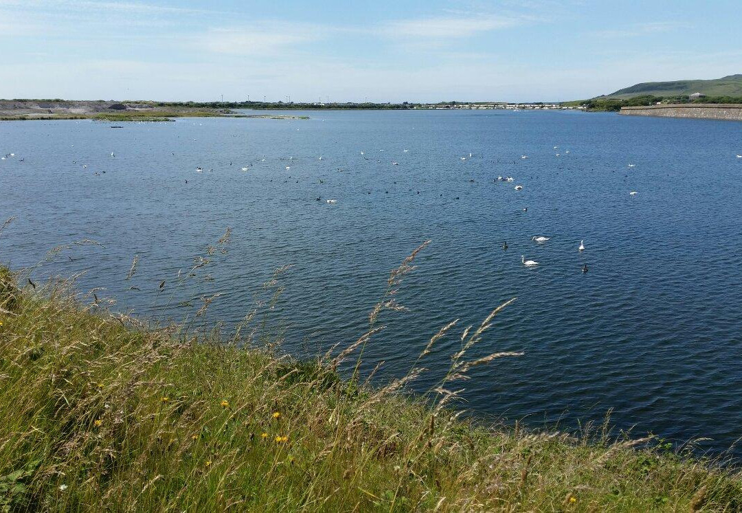 RSPB Hodbarrow Nature Reserve景点图片