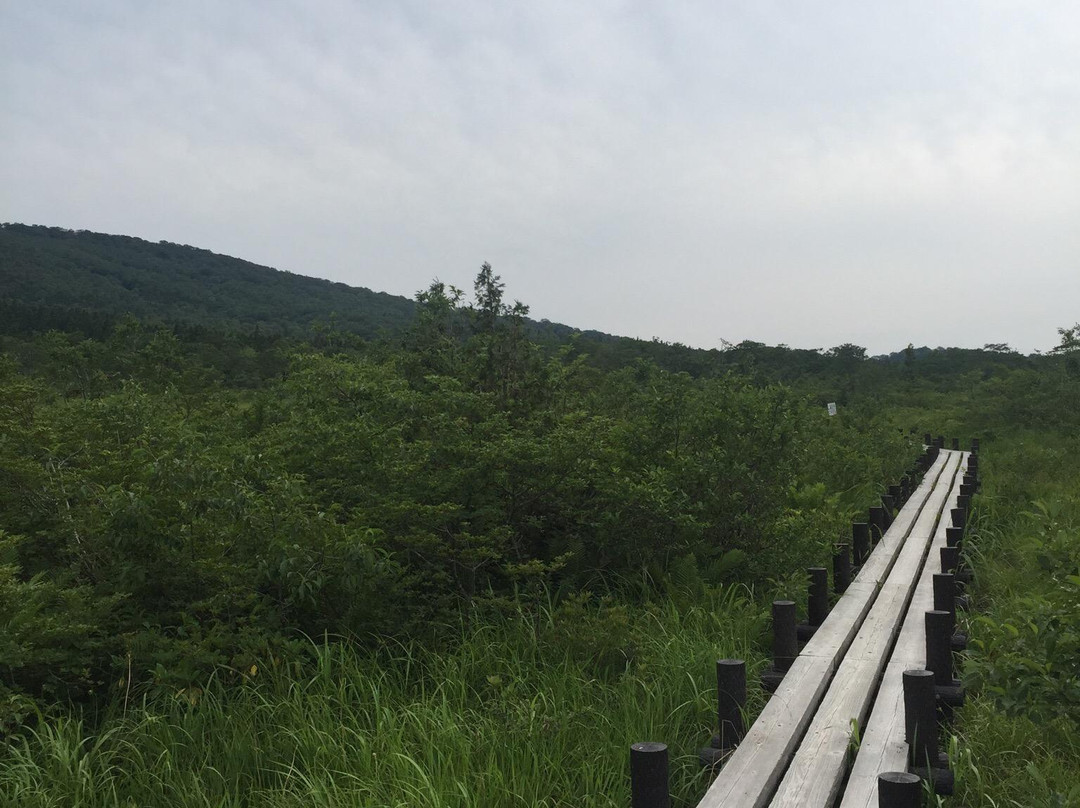 Sekaiyachi Native Flower Trail-栗原市必去景点