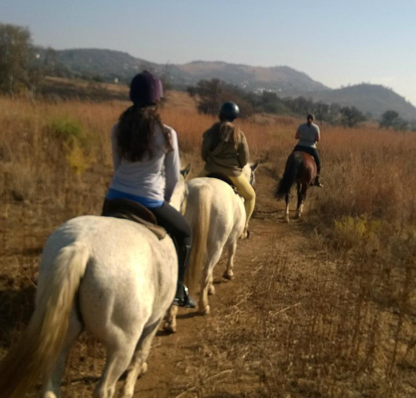 Klipriviersberg Nature Reserve Horse Trails景点图片