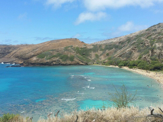 恐龙湾之旅-火奴鲁鲁必去景点