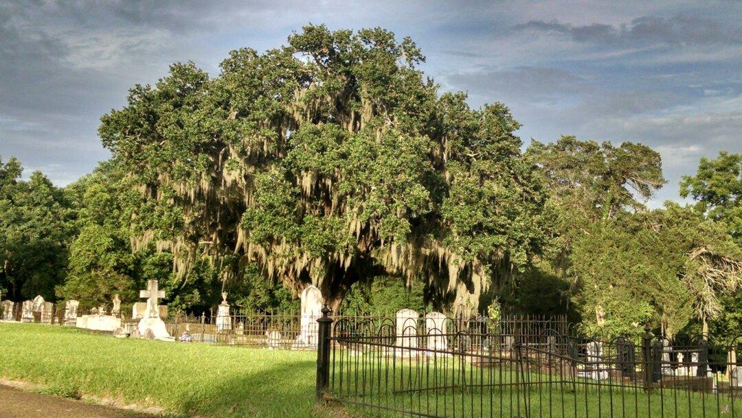 Natchez National Cemetery景点图片