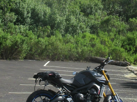 Fremont Peak State Park-San Juan Bautista必去景点