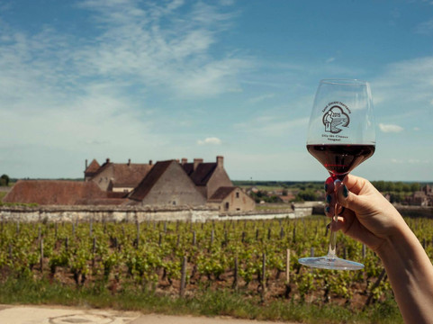 Burgundia Tour-巴黎必去景点