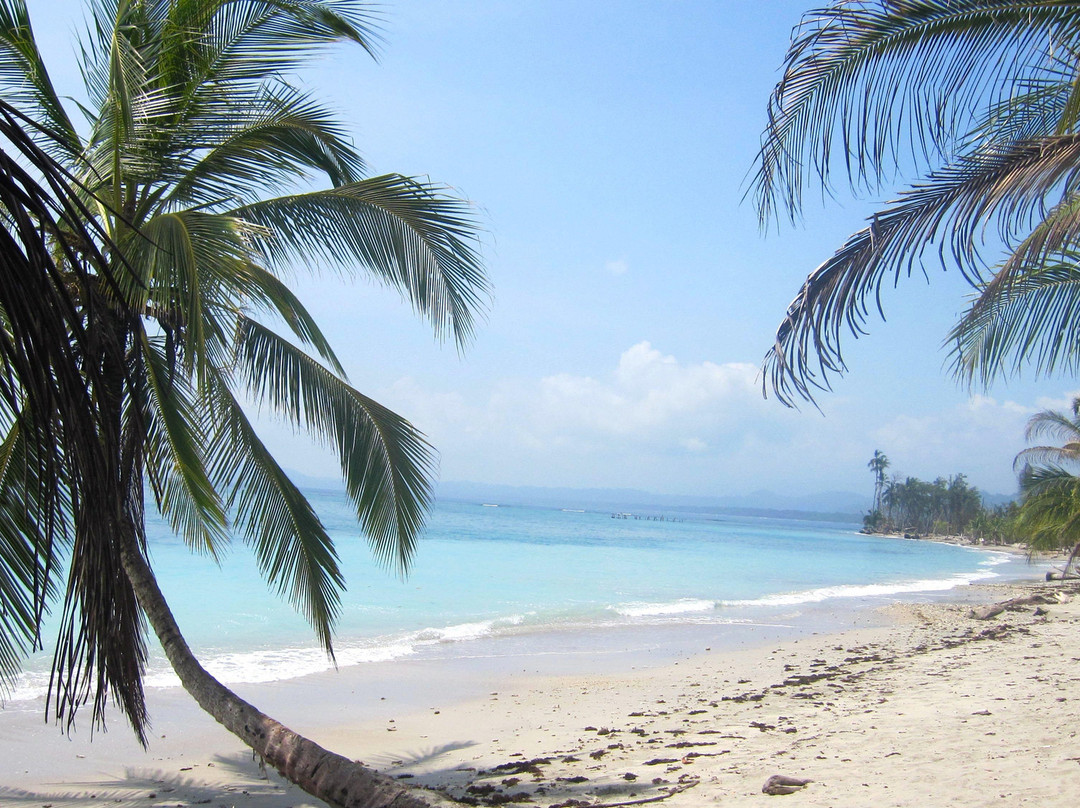 Cahuita National Park景点图片