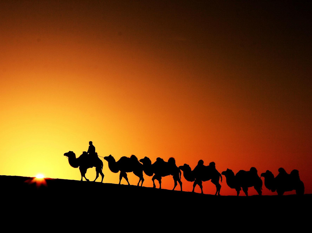 金胡杨国际风情商业街-额济纳旗必去景点