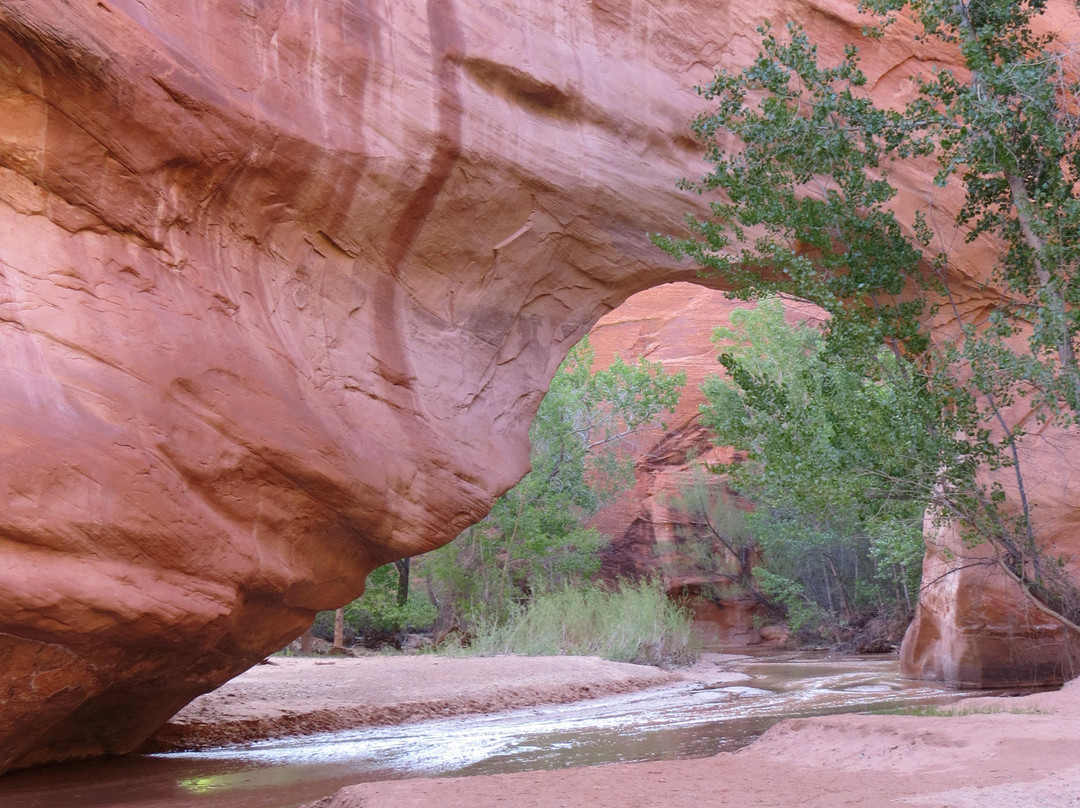 Grand Staircase Escalante National Monument景点图片