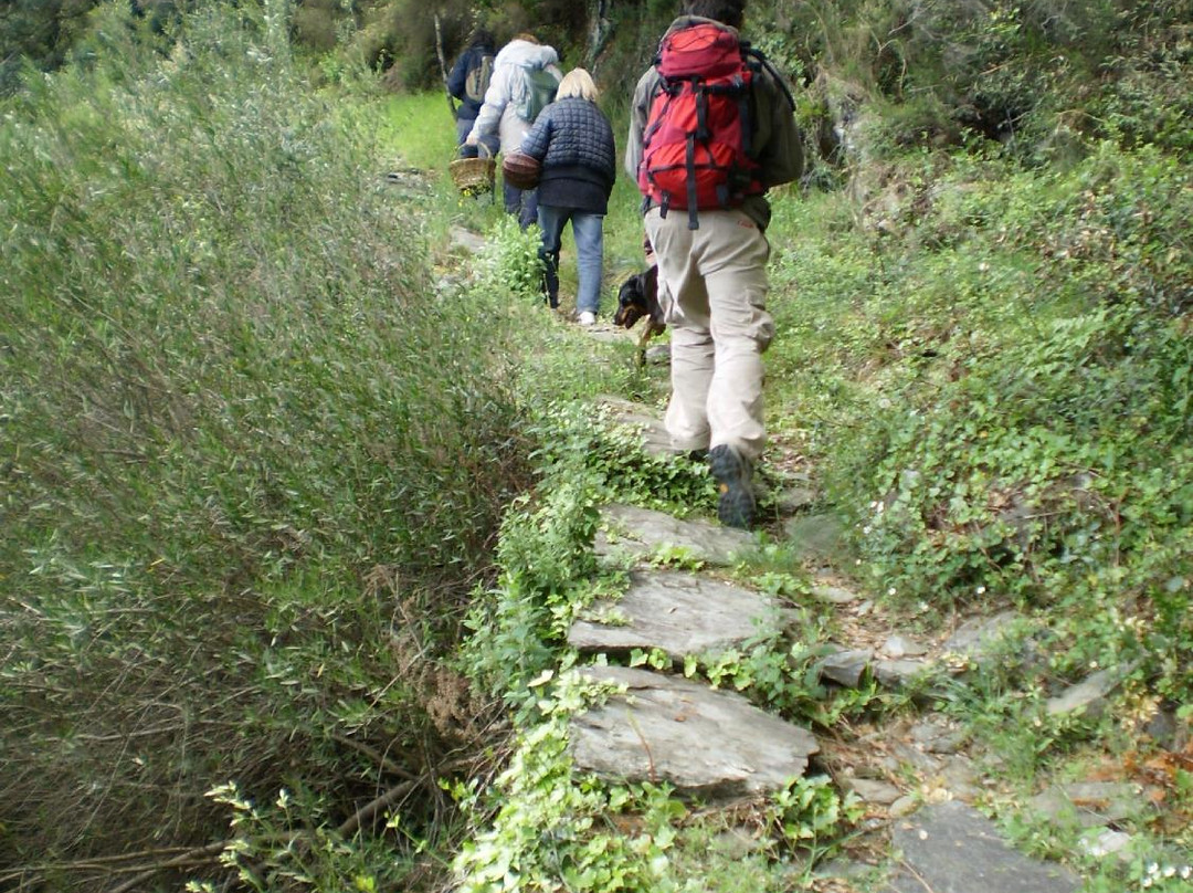 Office de Tourisme Mont Aigoual Causses Cévennes景点图片