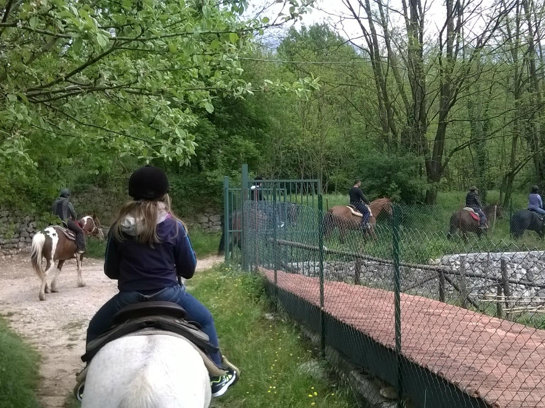 Agriturismo Valle del Rio - Trekking a Cavallo景点图片