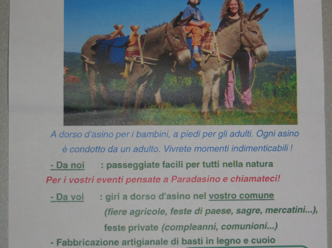 Asinelli a Paradasino-Castelnuovo Nigra必去景点