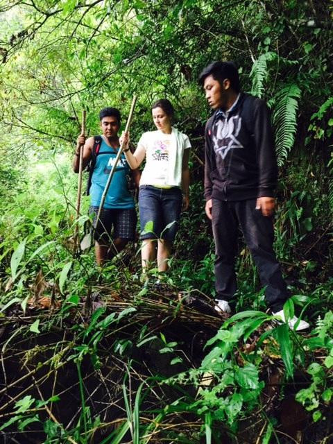 Bali Trekking Mount Batur Guide景点图片