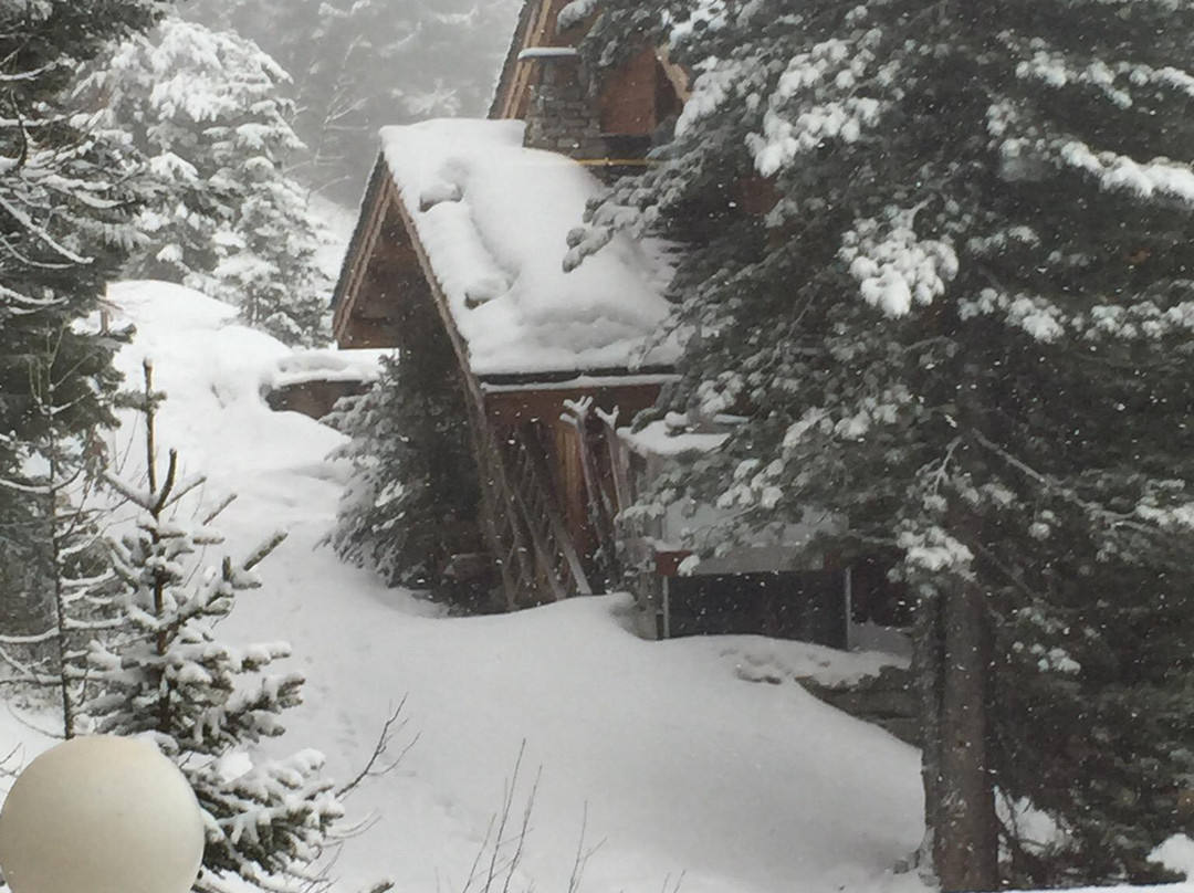Chalet Genepy