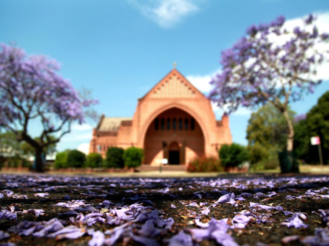 Christ Church Cathedral-Grafton必去景点