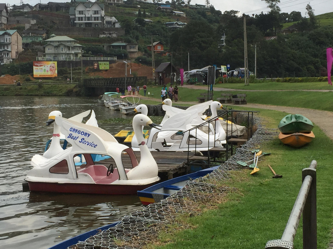 格雷戈里湖-奴娃拉伊利雅必去景点