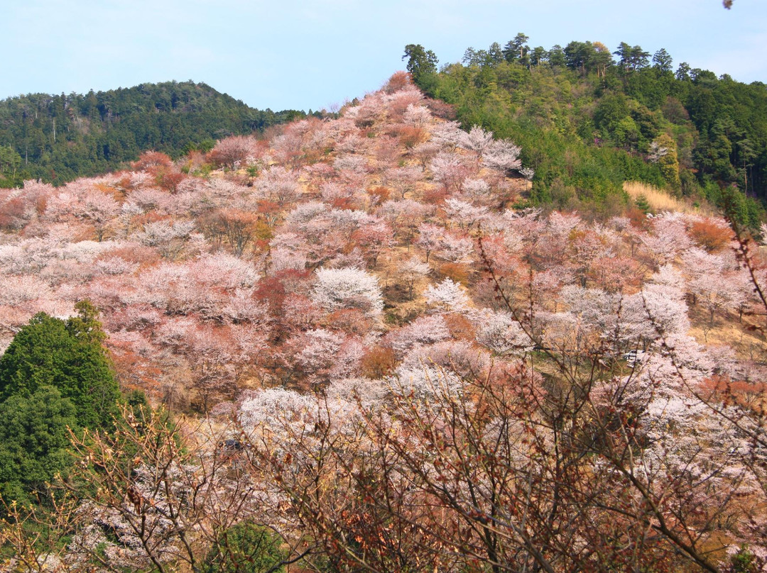 Mt. Yoshino景点图片