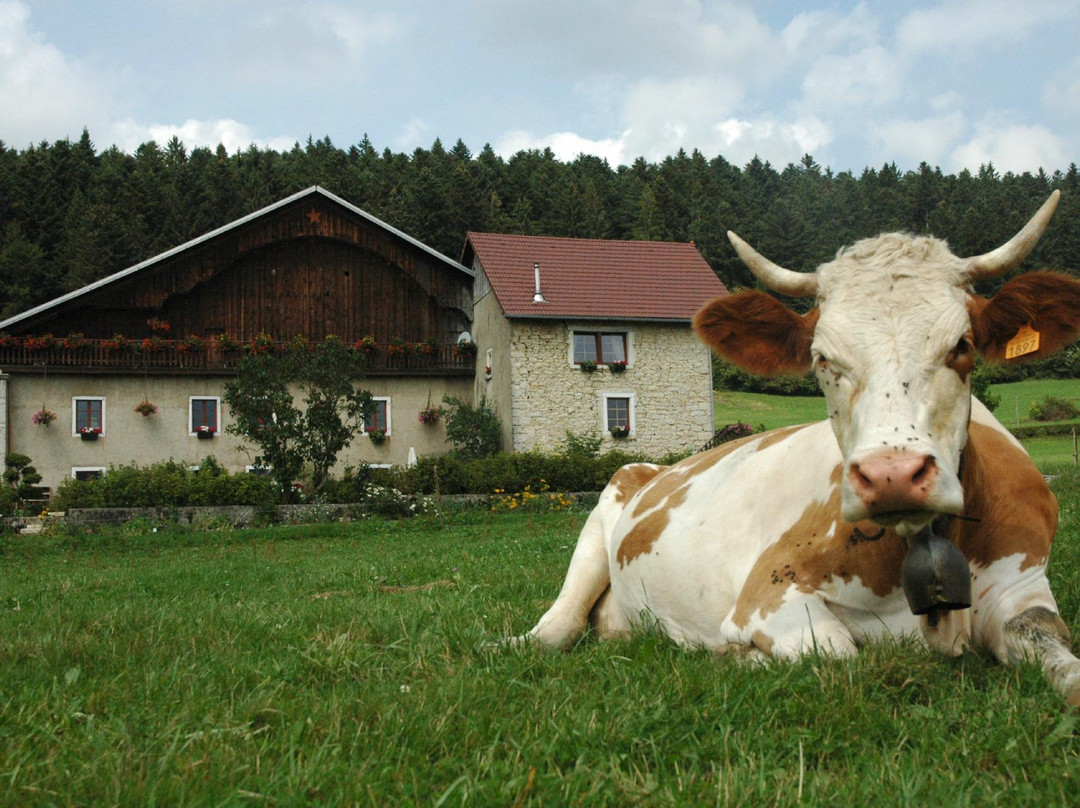 La Ferme-Auberge des Louisots主图