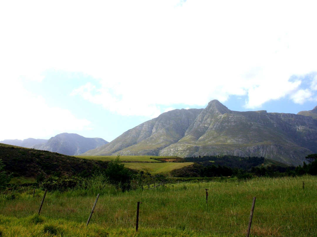 Wilderbraam Berry Estate-斯韦伦丹必去景点