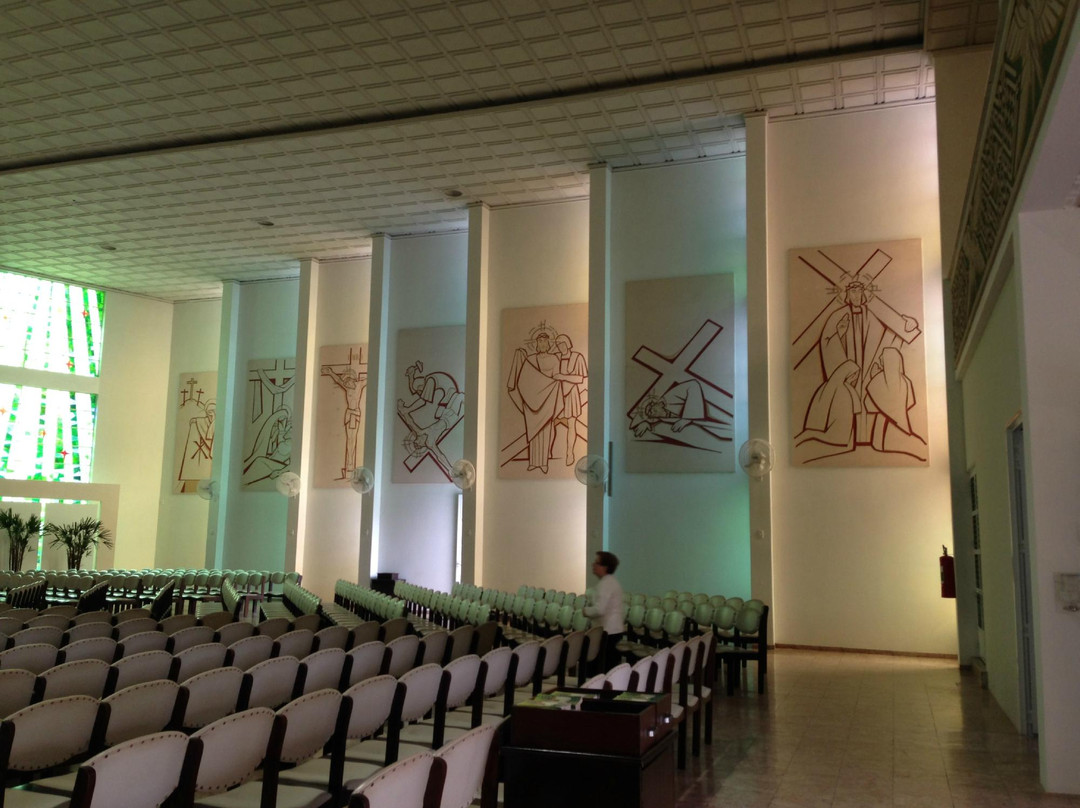 Catedral São José景点图片