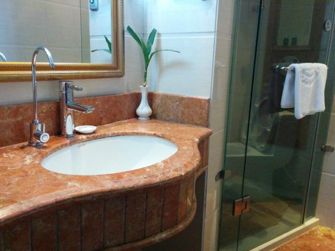 金星大酒店主图