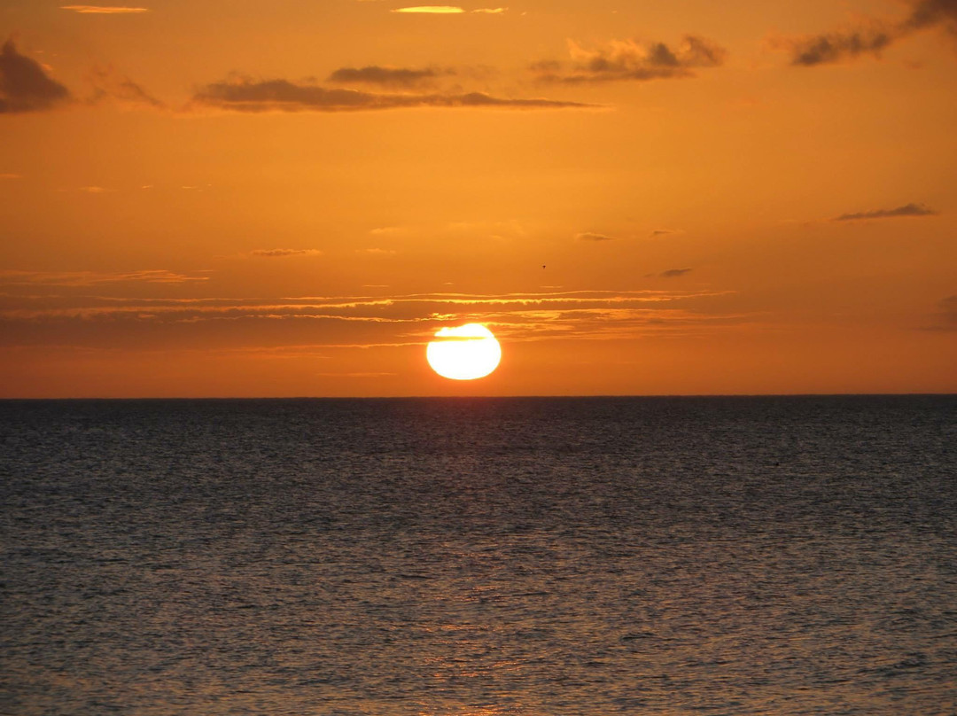 Captiva Beach-俘虏岛必去景点