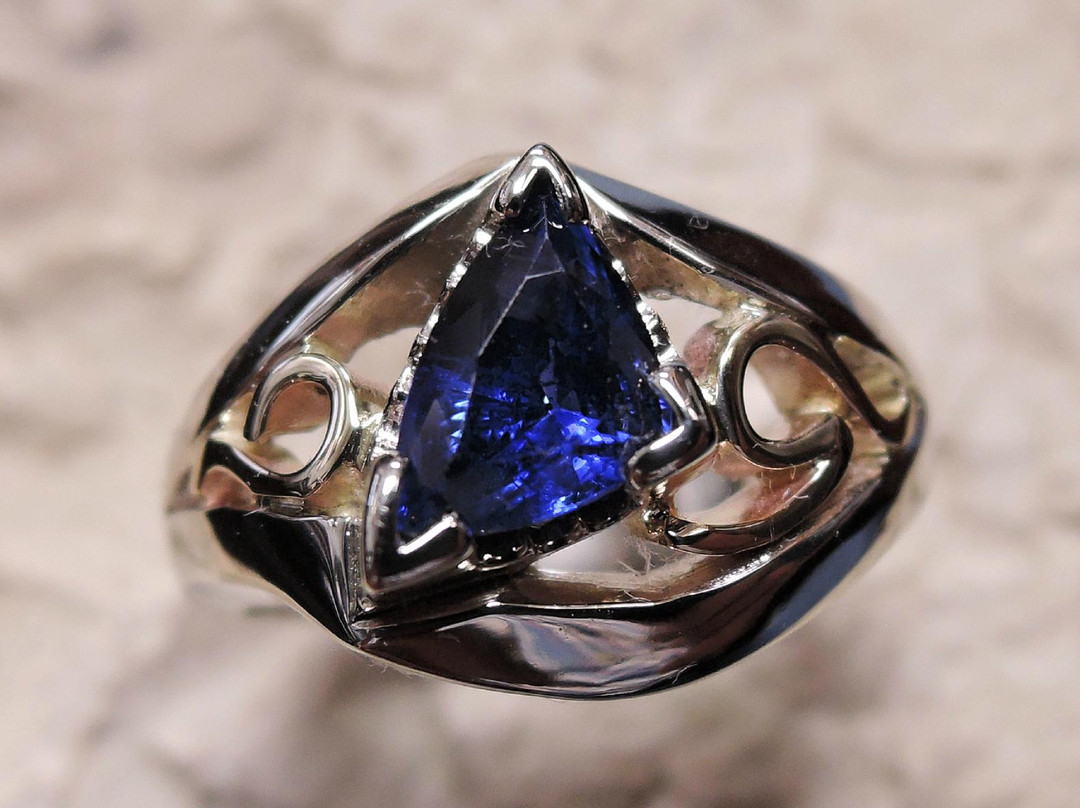 Gaumer's Jewelry & Musuem景点图片