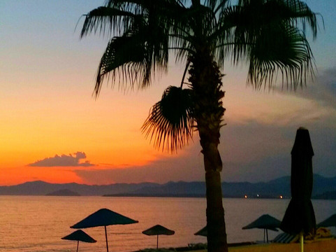 Inlice餐馆和美食-Annas