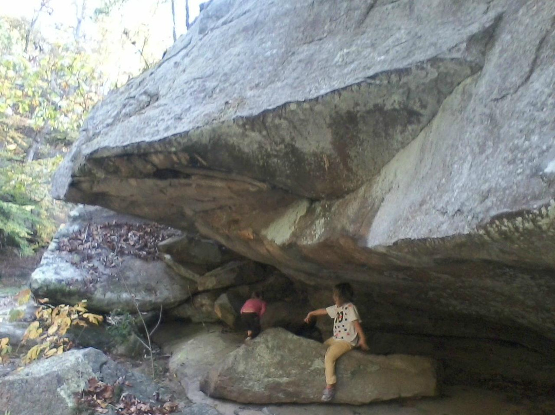 Piney Creek Ravine - State Natural Area景点图片