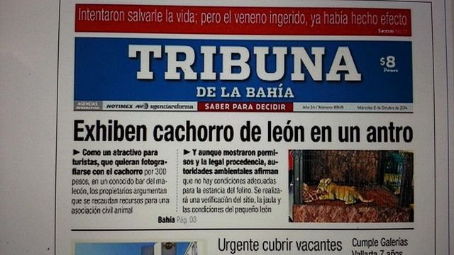 Zoo Bar-瓦拉塔港必去景点