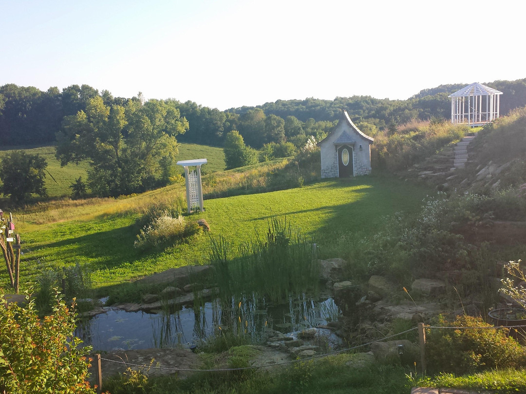 Cottage Winery and Vineyard景点图片