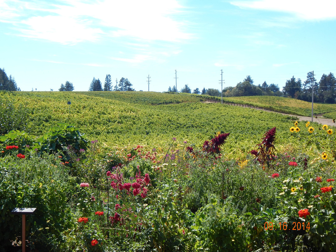 Lynmar Estate Winery景点图片