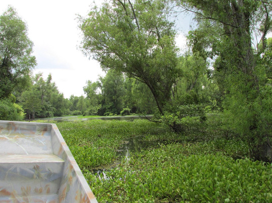 Mequet Swamp Tours-布里奥克斯桥必去景点