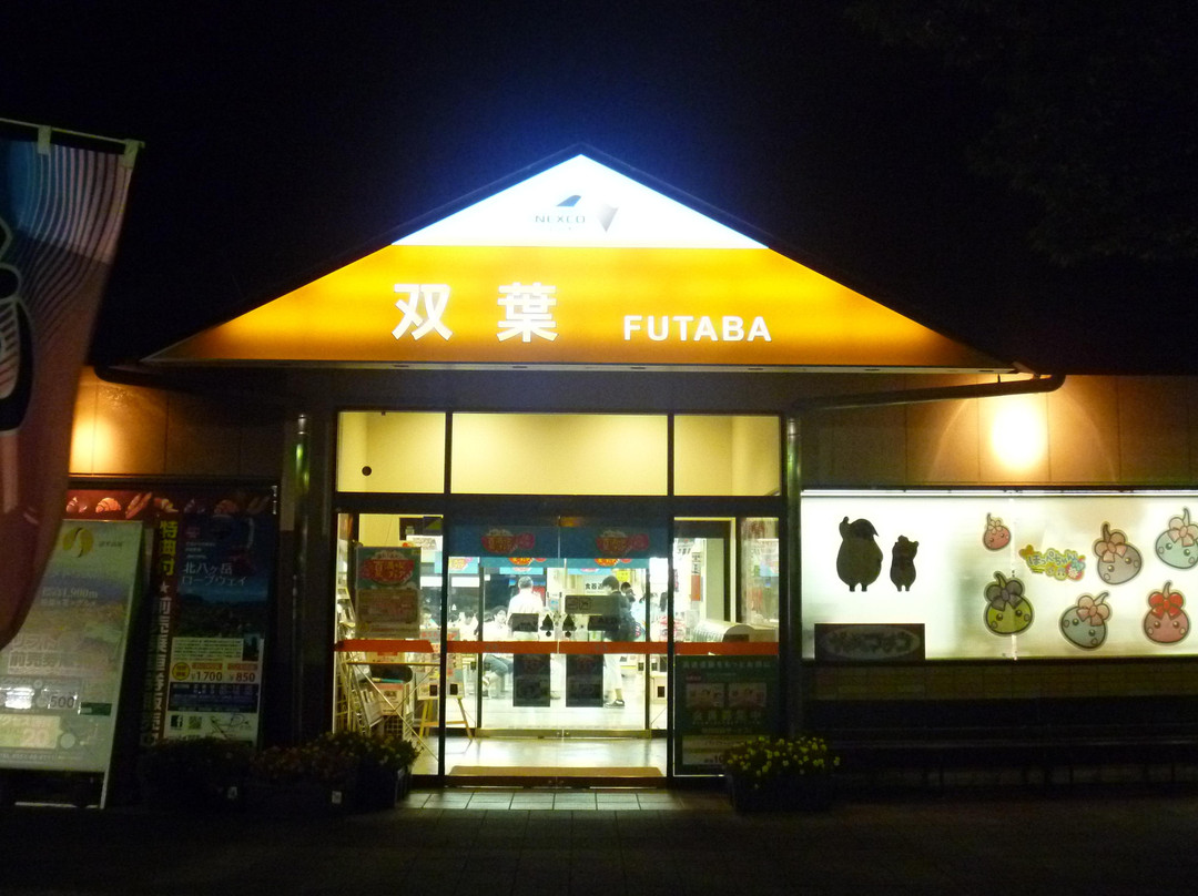 Futaba Service Area Down Line景点图片